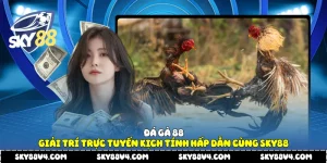 Đá gà 88
