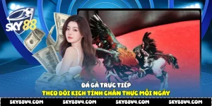 Đá gà trực tiếp