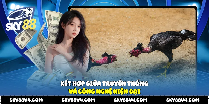 Kết hợp giữa truyền thống và công nghệ hiện đại.