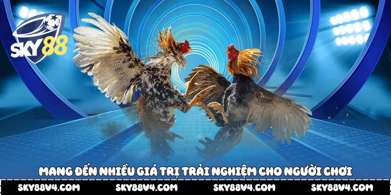 Mang đến nhiều giá trị trải nghiệm cho người chơi