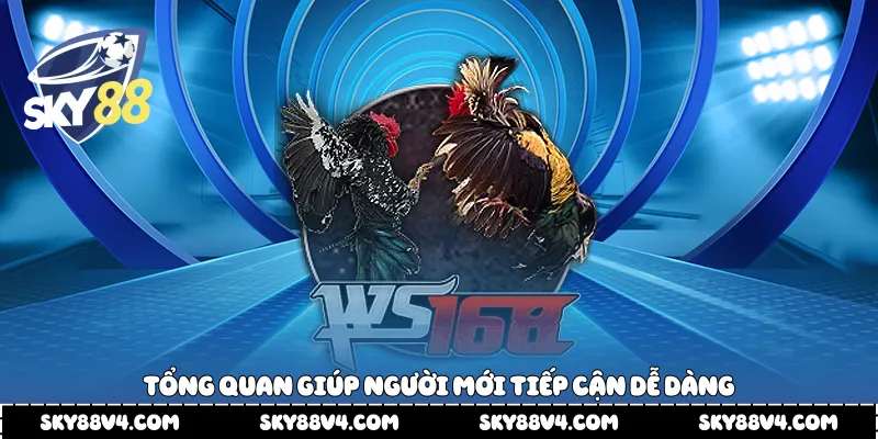 Tổng quan giúp người mới tiếp cận dễ dàng